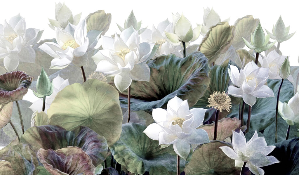 Loto bianco tra foglie — design completo