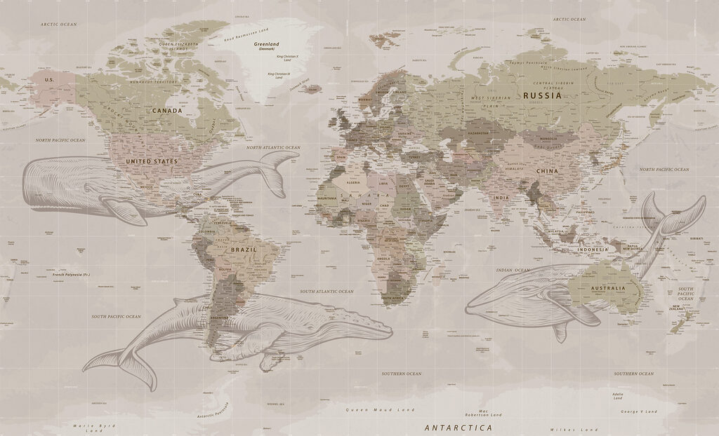 Viaggi sulla mappa — design completo