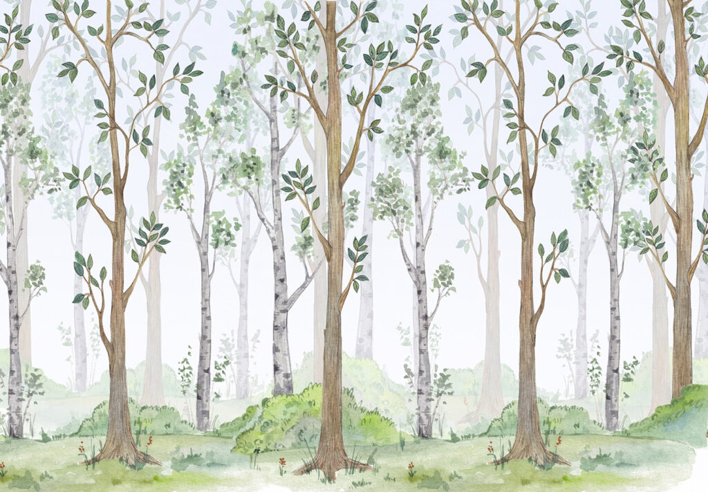 Bosco di tronchi chiari — design completo