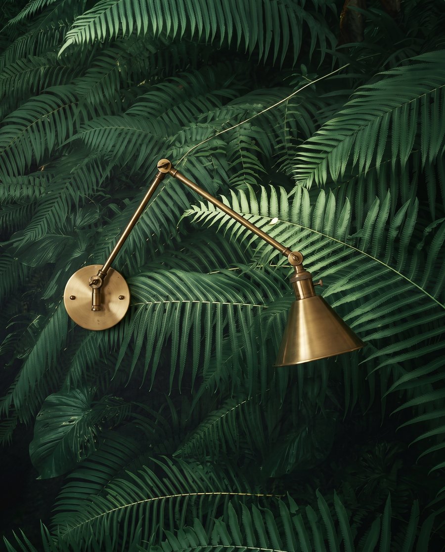 Nel verde delle felci — dettaglio
