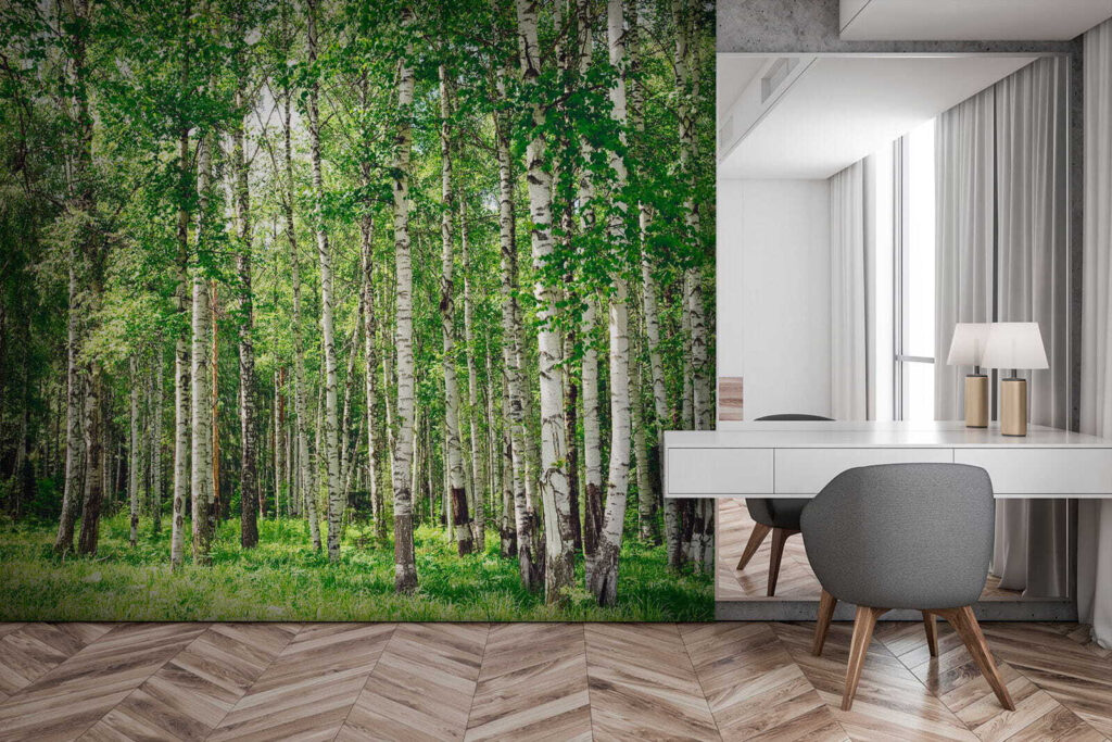 Tronchi di betulla — ambiente 2
