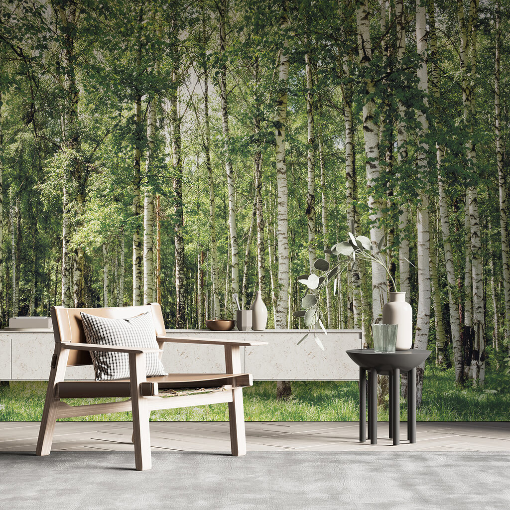 Tronchi di betulla — ambiente 11