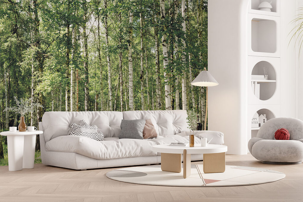 Tronchi di betulla — ambiente 12