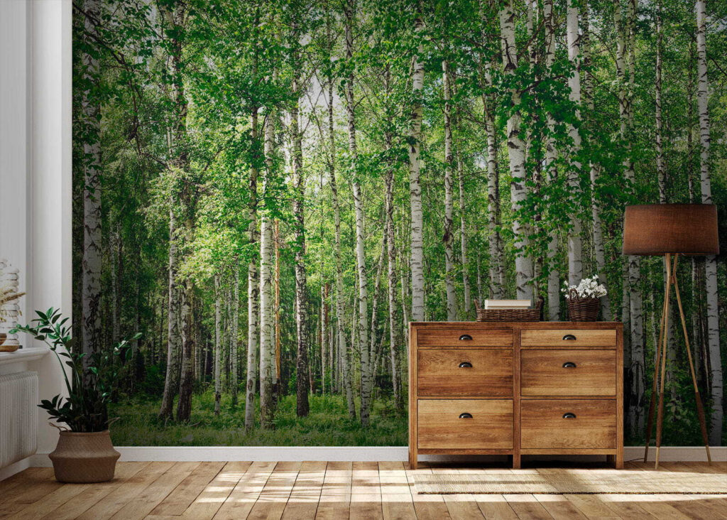 Tronchi di betulla — ambiente 5