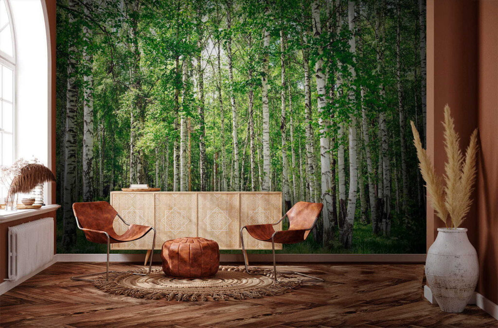 Tronchi di betulla — ambiente 6