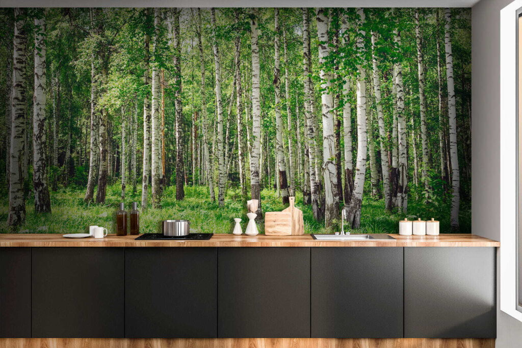 Tronchi di betulla — ambiente 7