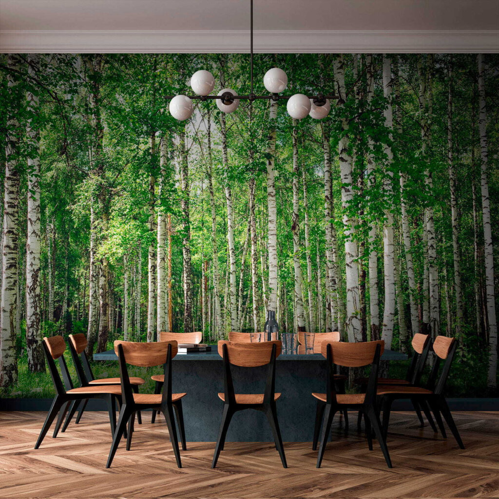 Tronchi di betulla — ambiente 8