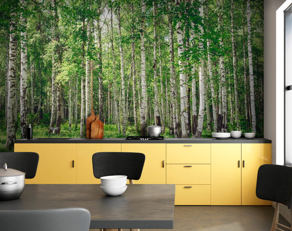 Tronchi di betulla — ambiente 9