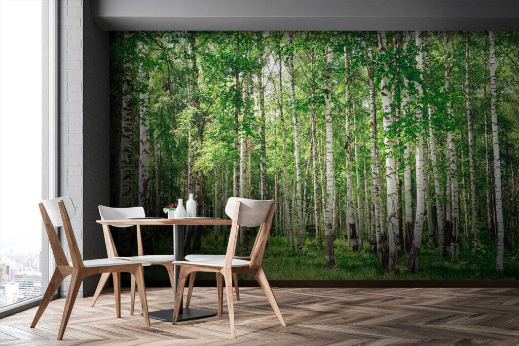 Tronchi di betulla — ambiente 10