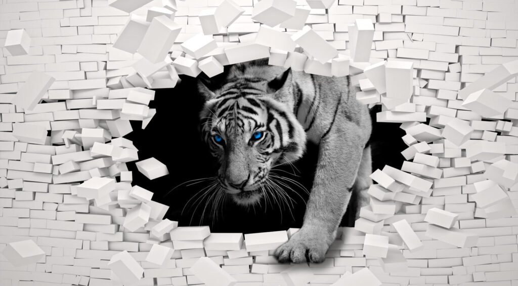 Tigre bianca tra mattoni — design completo