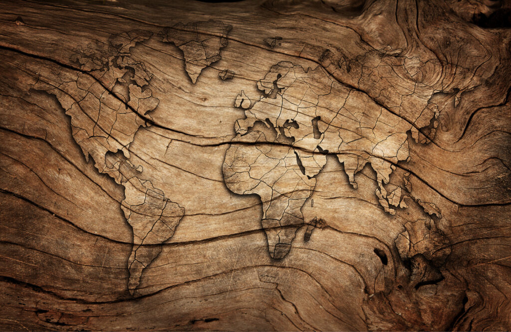 Linee del mondo — design completo