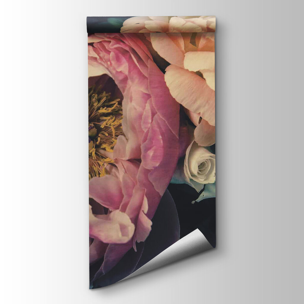 Peonie scure da vicino — vista del prodotto