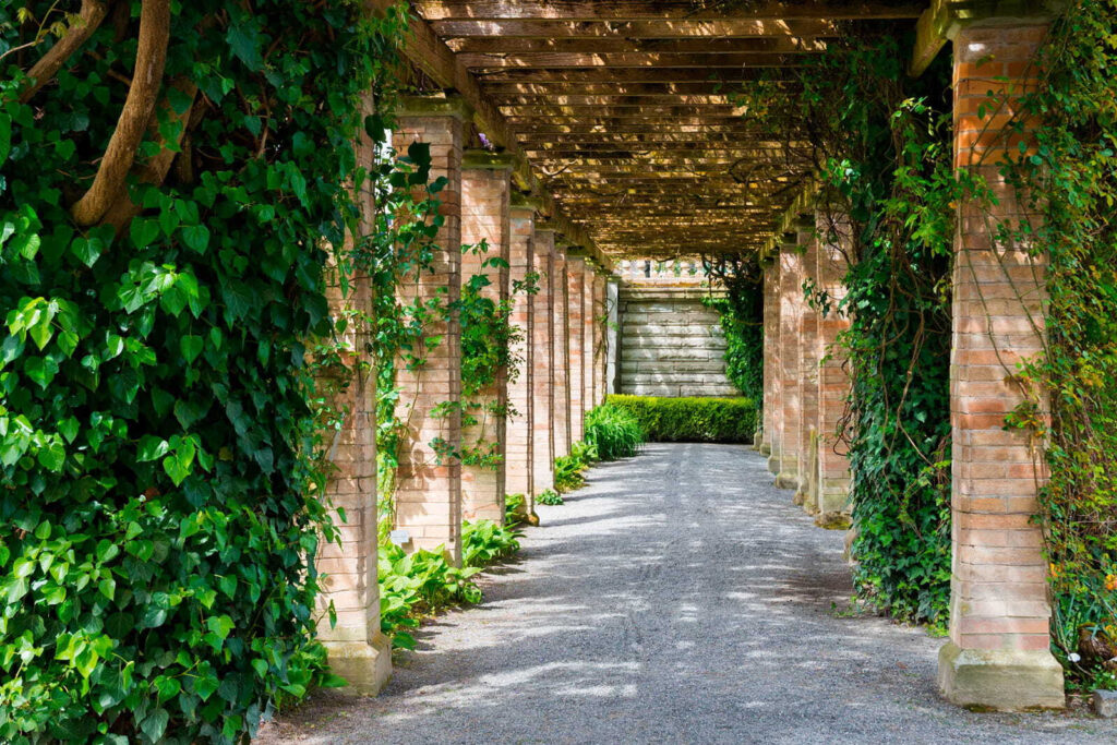 Sentiero sotto il pergolato — design completo