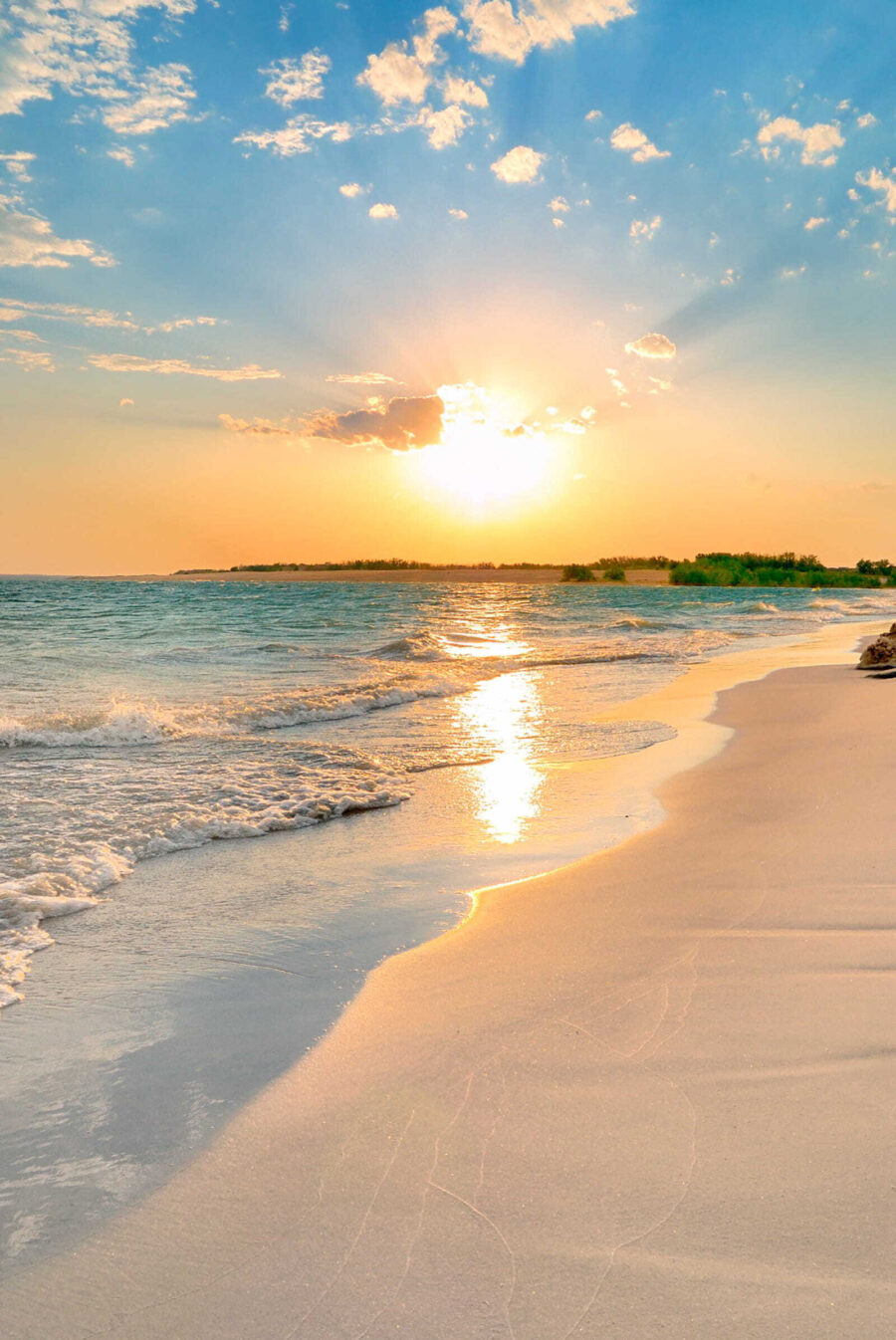 Sole sulla spiaggia — design completo