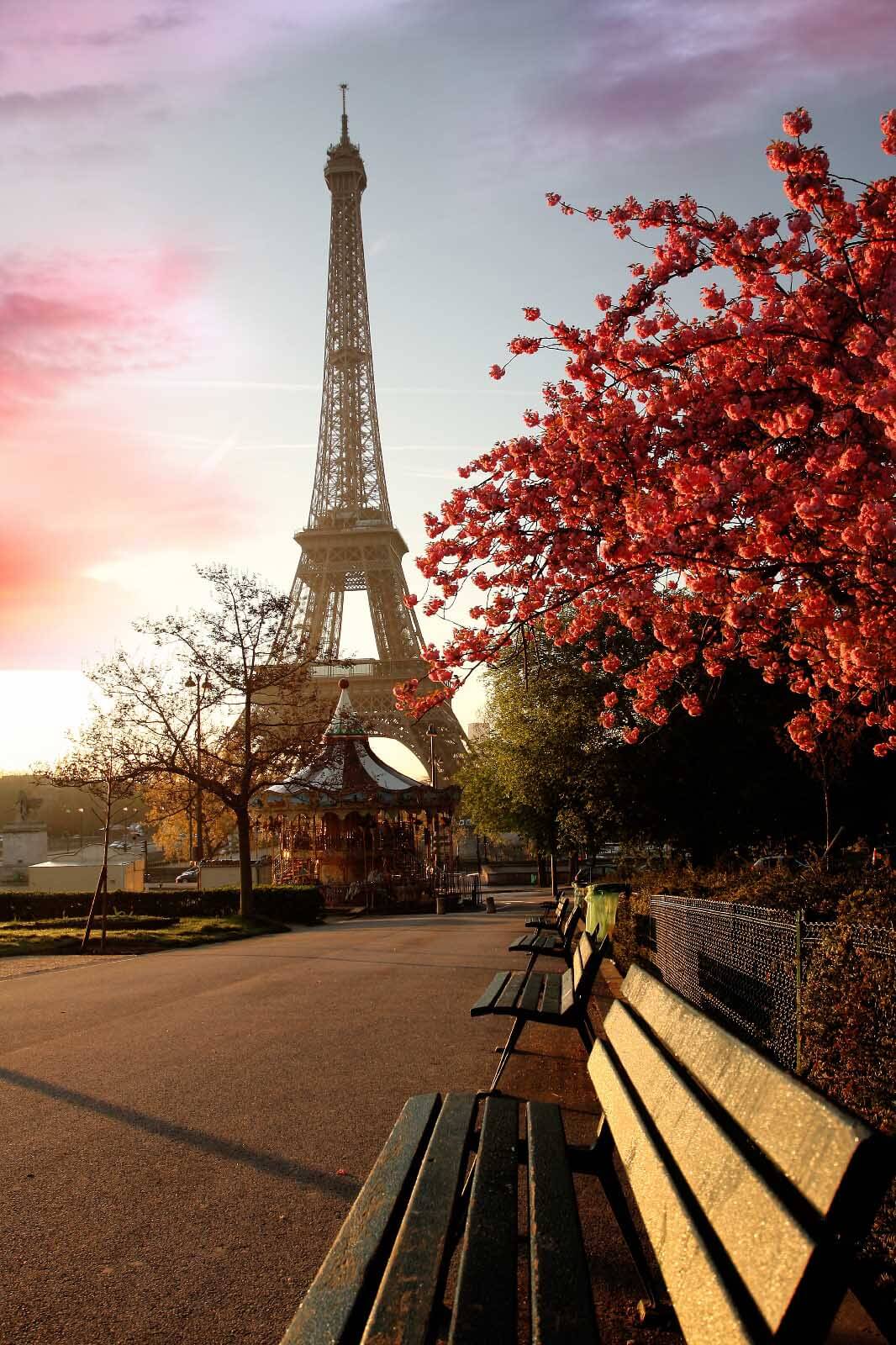 Torre Eiffel d’autunno — design completo