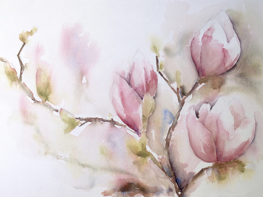 Magnolia ad acquerello rosa — design completo