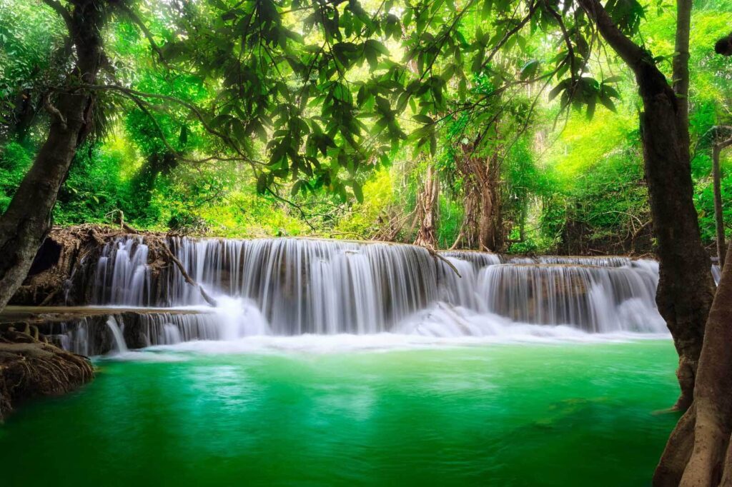 Cascata nel bosco — design completo