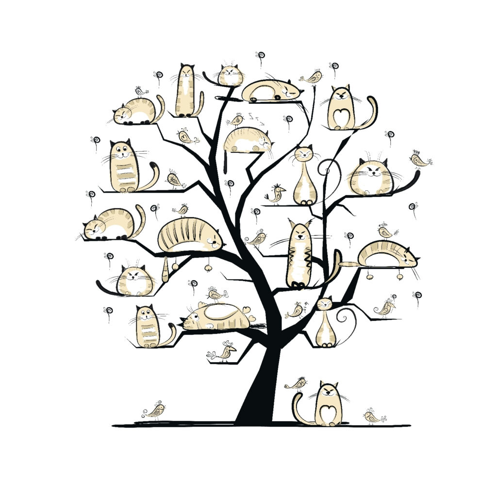 Gatti sull’albero — design completo