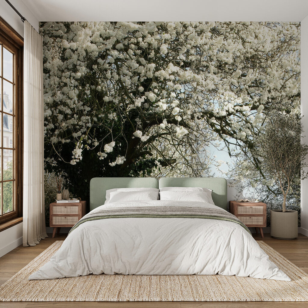Stradina in fiore — ambiente 3