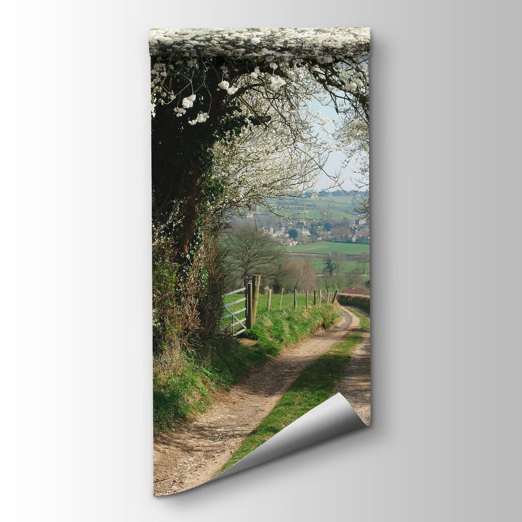 Stradina in fiore — vista del prodotto