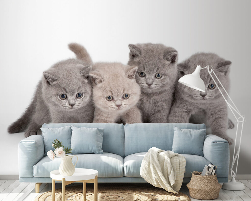 Quattro gattini curiosi in un ambiente