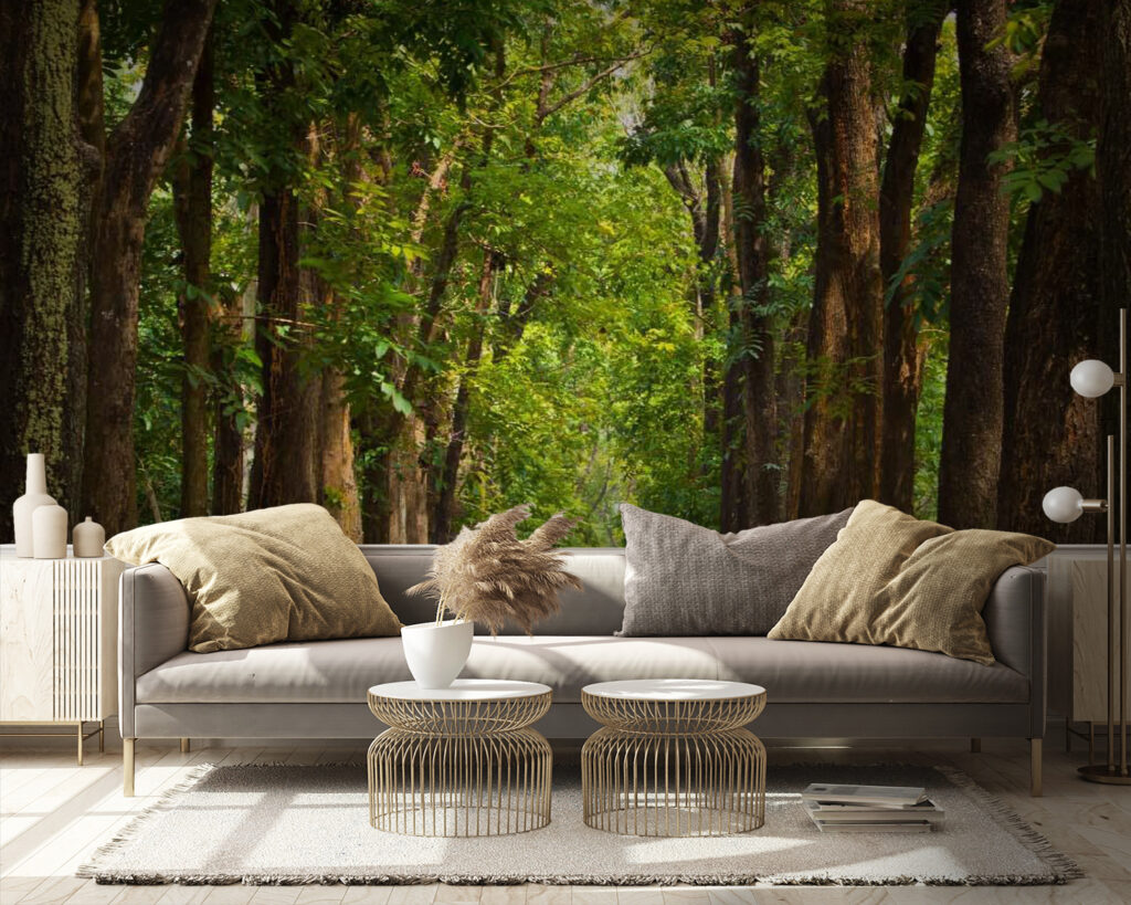 Viale tra gli alberi — ambiente 3