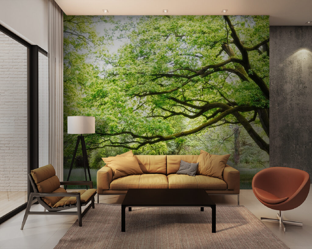 Vecchio albero verde — ambiente 1