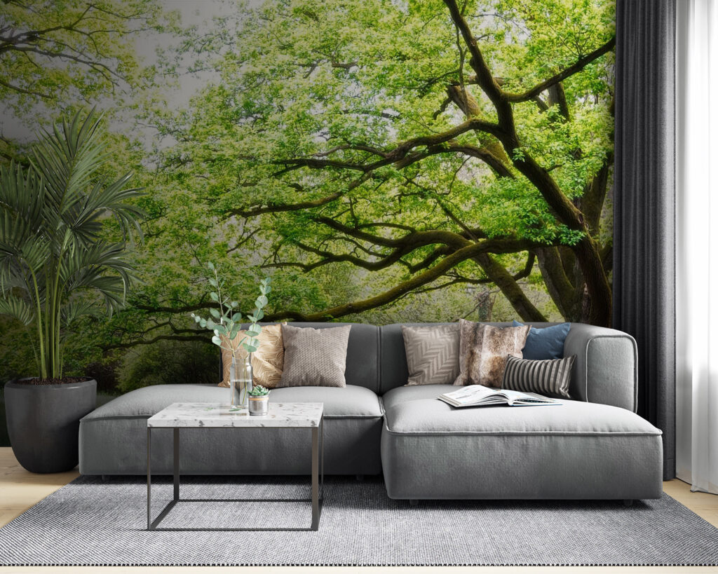 Vecchio albero verde — ambiente 2