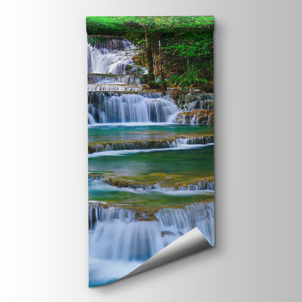 Acqua tra alberi fitti — vista del prodotto