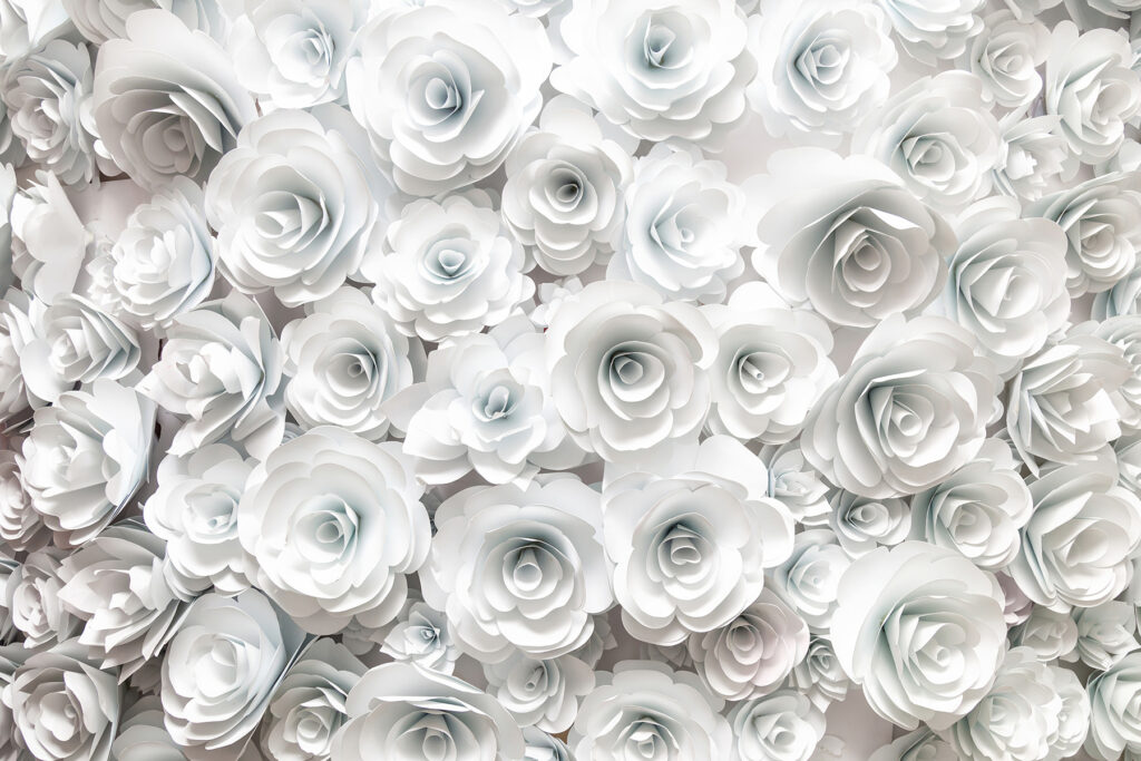 Rose bianche fitte — design completo