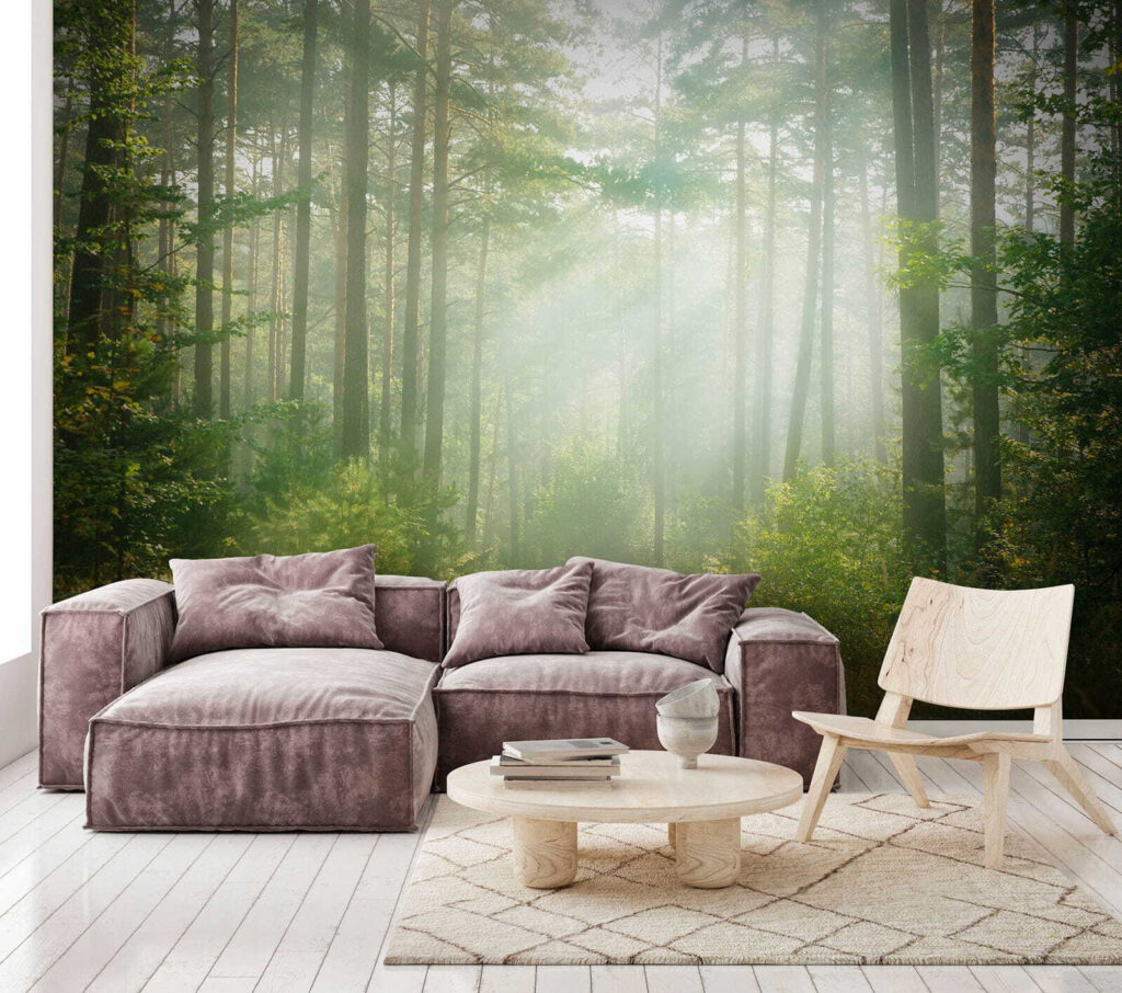 Raggi tra i tronchi — ambiente 6