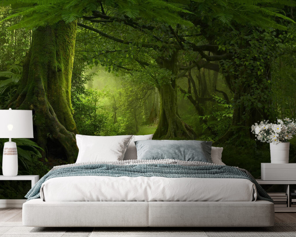 Sentiero nel bosco verde — ambiente 2