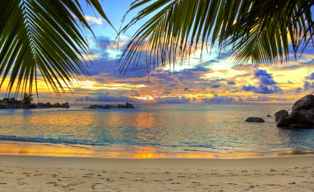 Tramonto tra le palme — design completo