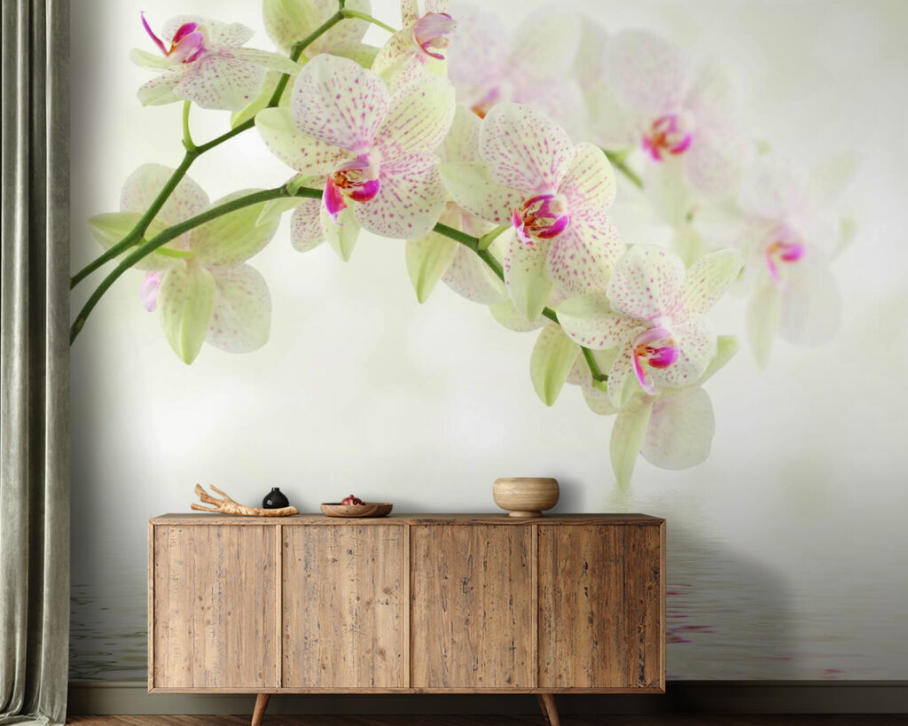 Orchidea sull’acqua — ambiente 2