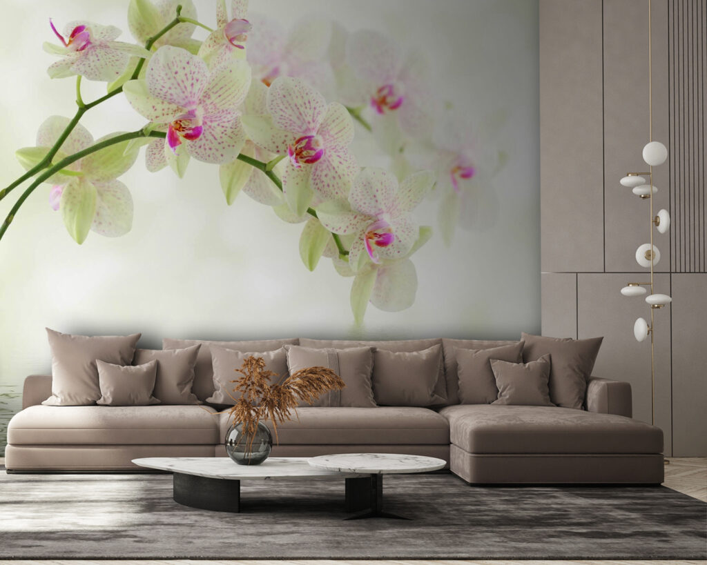 Orchidea sull’acqua — ambiente 4