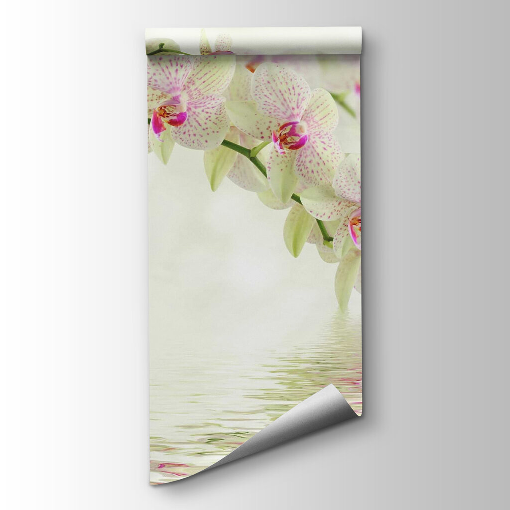 Orchidea sull’acqua — vista del prodotto