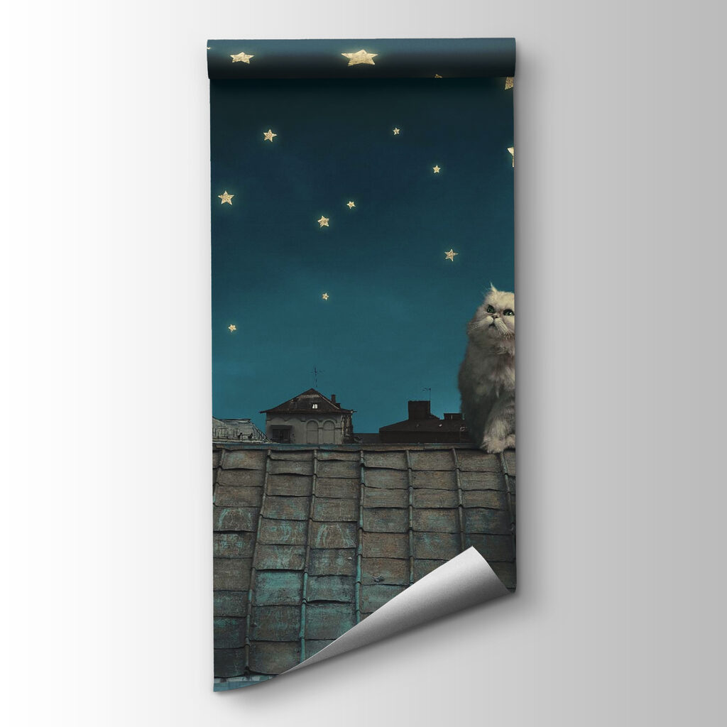 Gatto tra le stelle — vista del prodotto