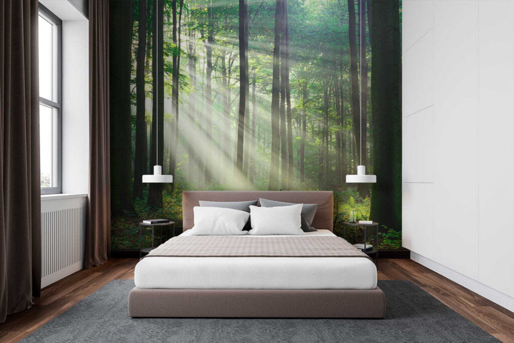 Luce tra tronchi dritti — ambiente 2