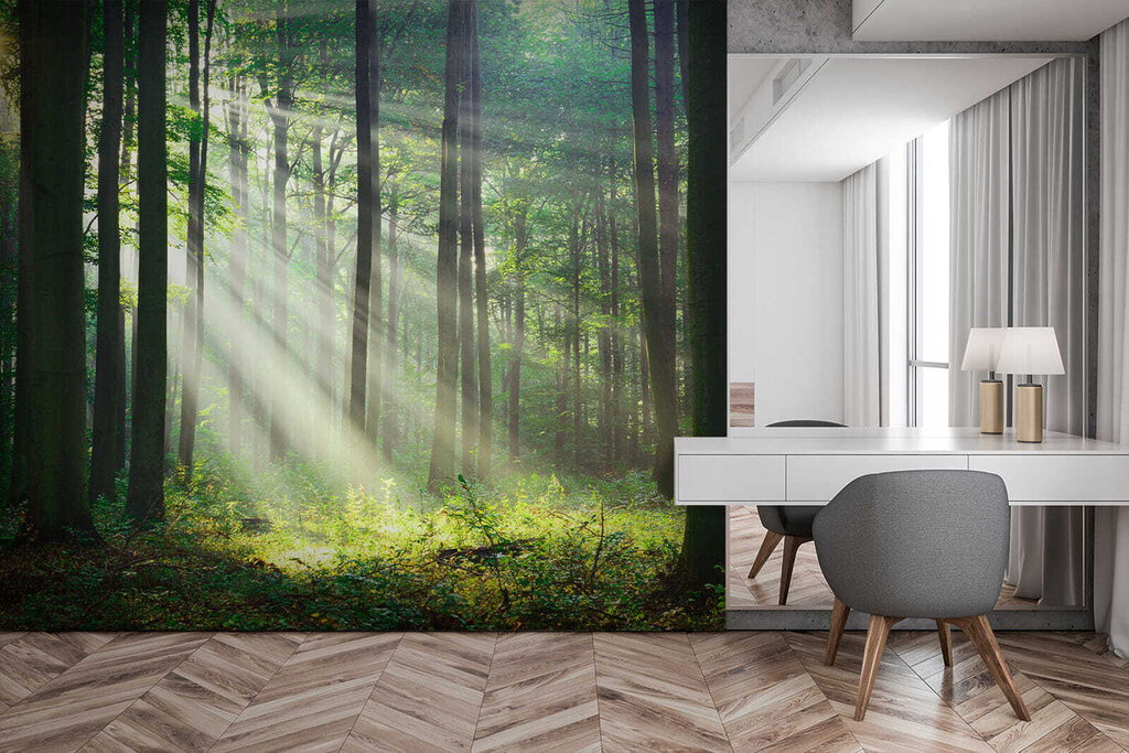 Luce tra tronchi dritti — ambiente 10