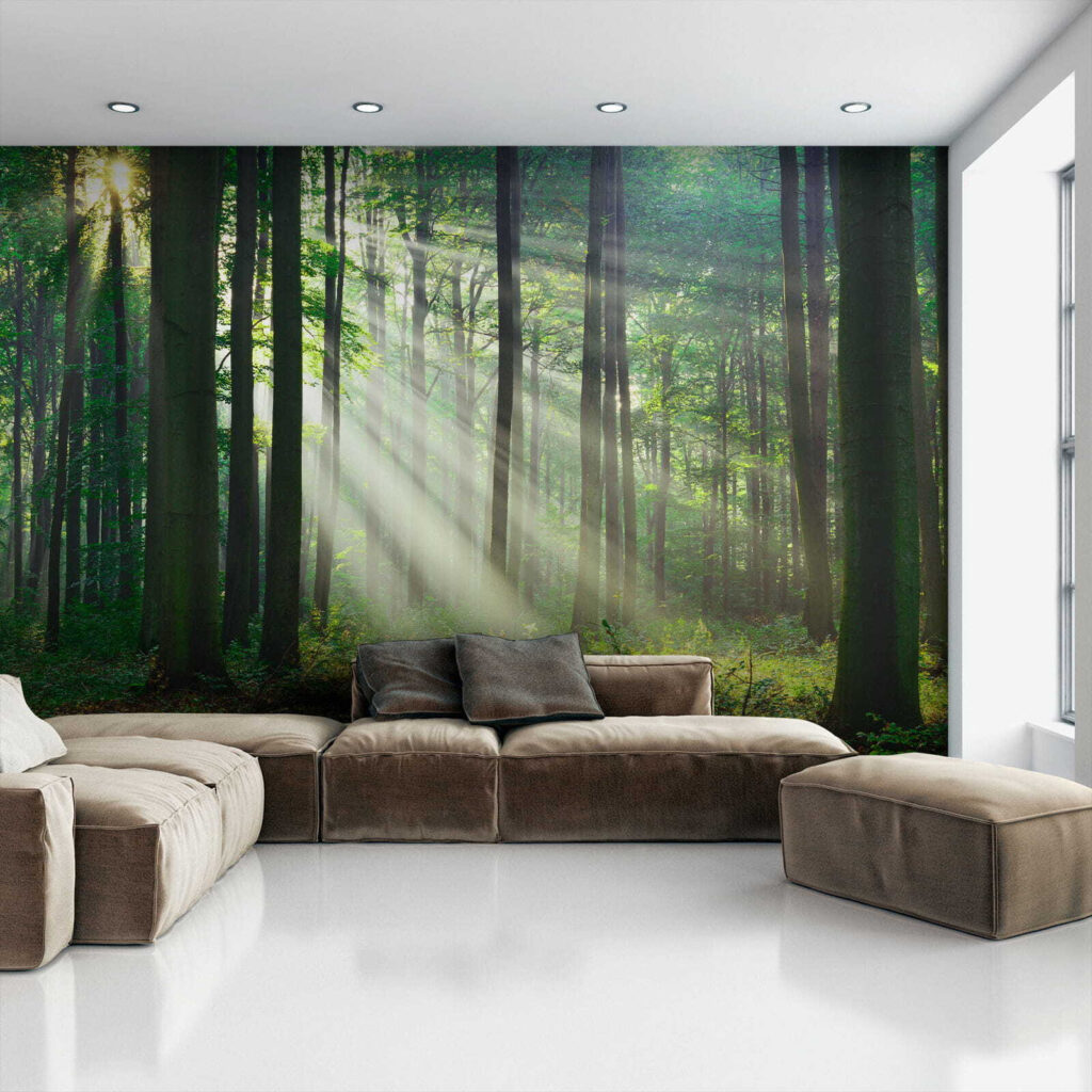 Luce tra tronchi dritti — ambiente 4