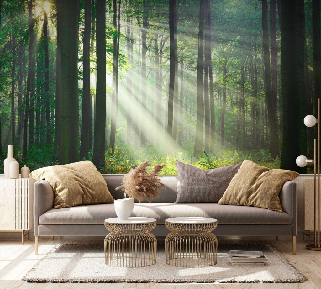 Luce tra tronchi dritti — ambiente 5