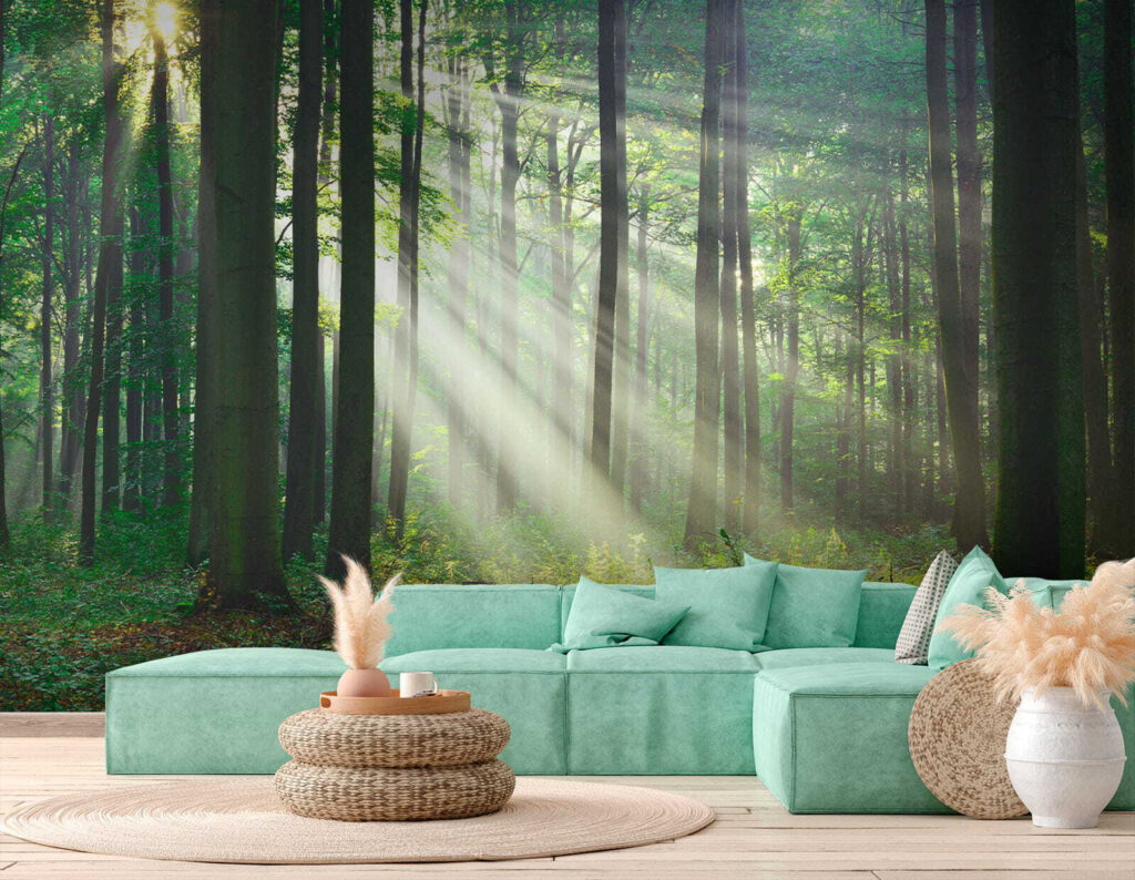Luce tra tronchi dritti — ambiente 6