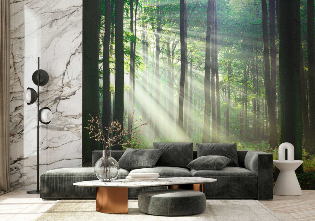 Luce tra tronchi dritti — ambiente 7