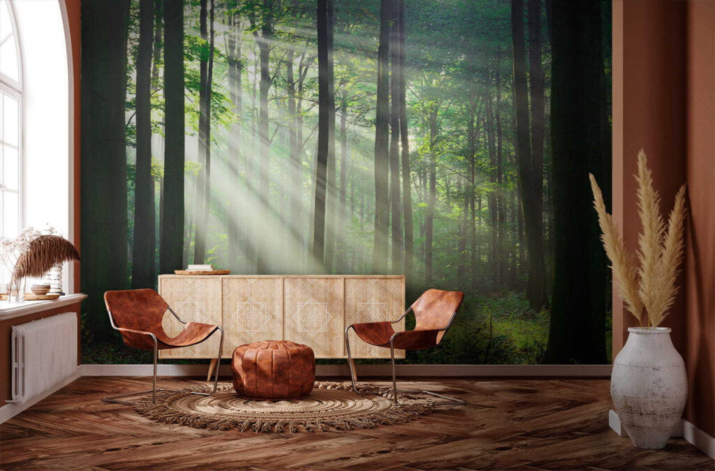 Luce tra tronchi dritti — ambiente 8