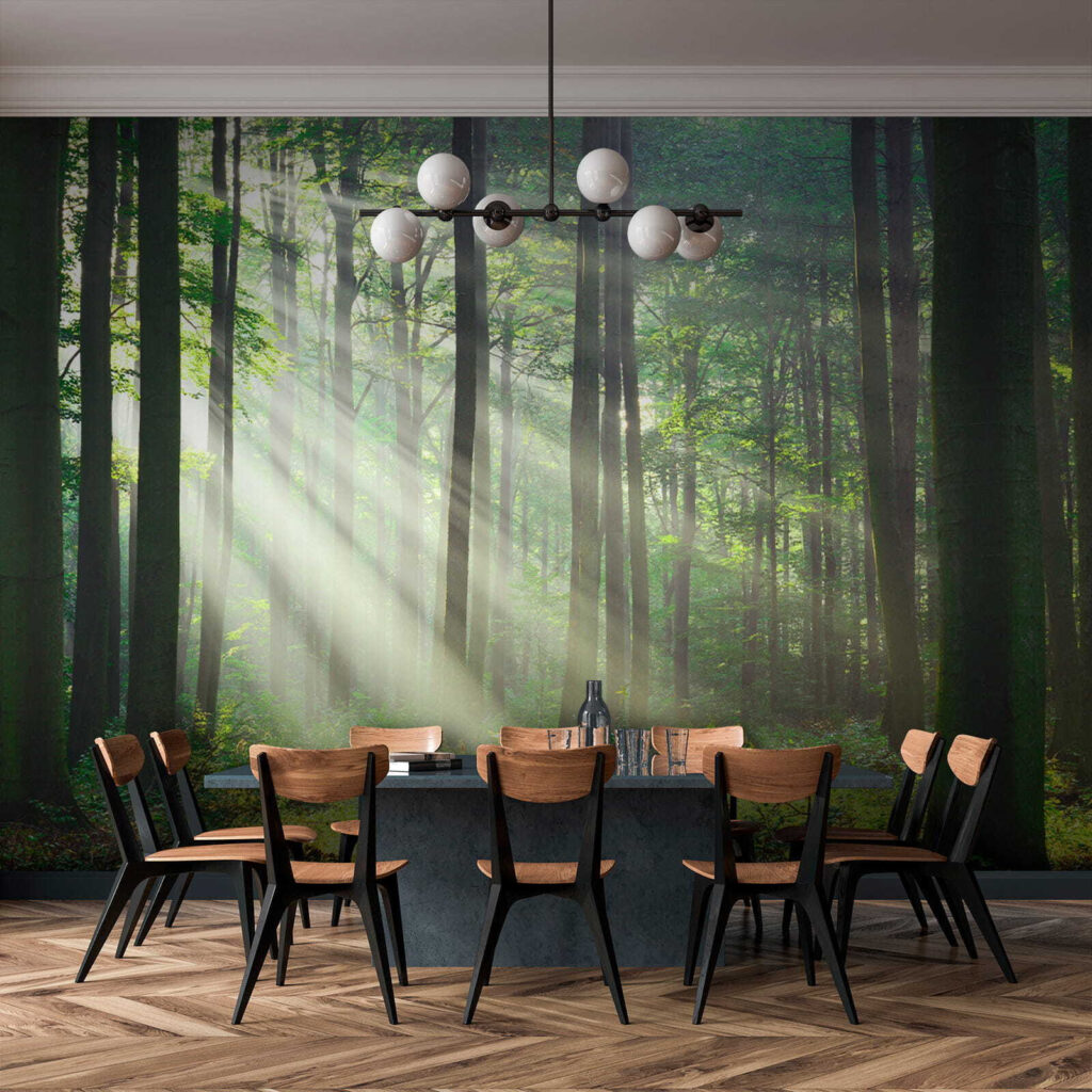 Luce tra tronchi dritti — ambiente 9