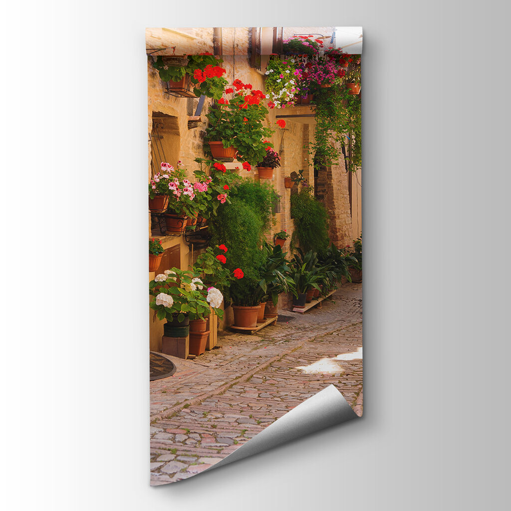 Vicolo pieno di fiori — vista del prodotto