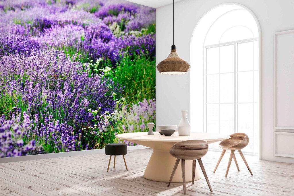 Lavanda in file ondulate — ambiente 1