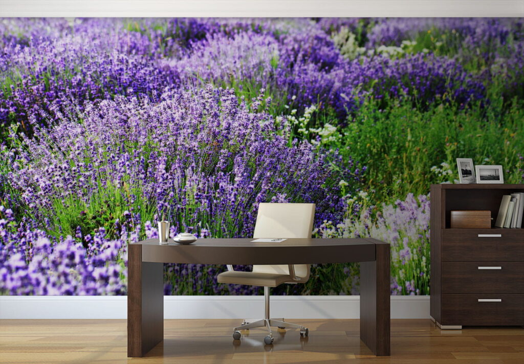 Lavanda in file ondulate — ambiente 2