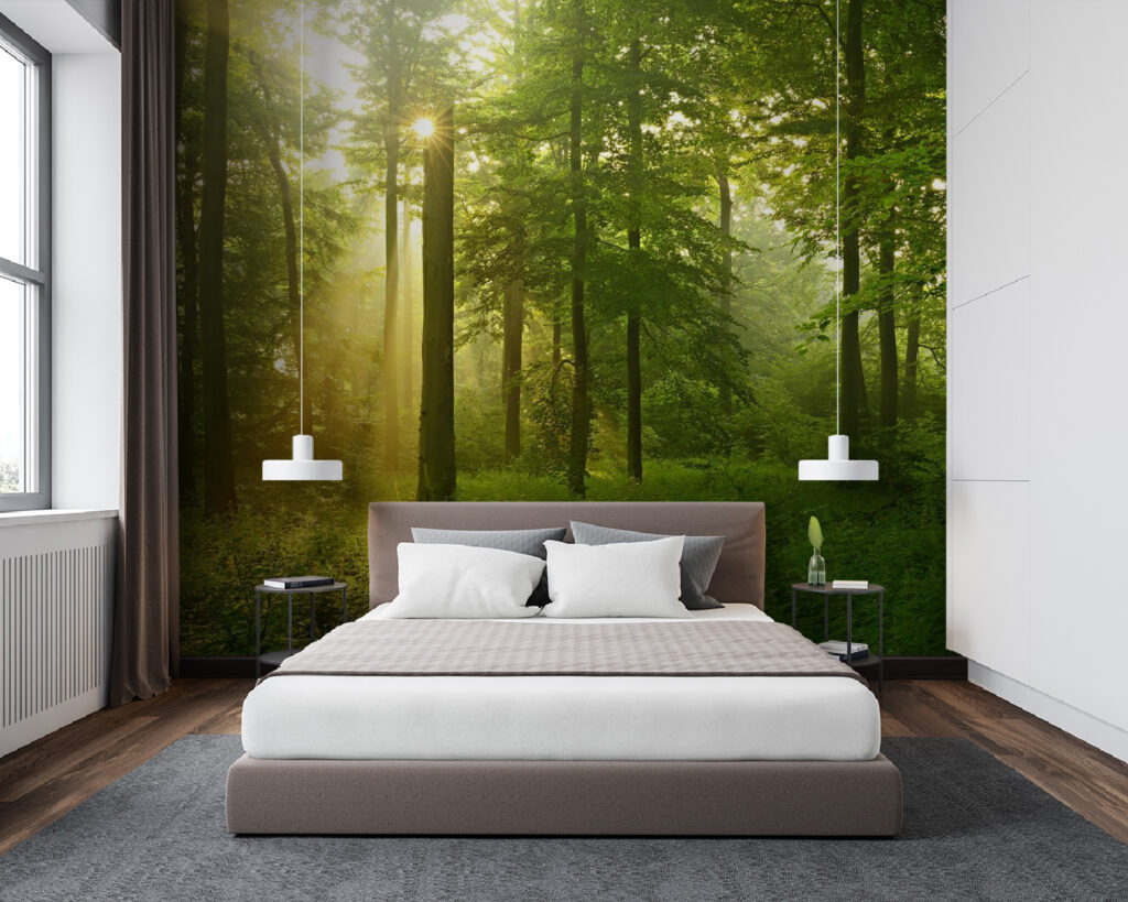Luce dorata nel bosco — ambiente 1