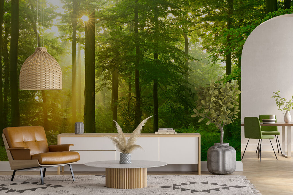 Luce dorata nel bosco — ambiente 6